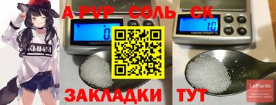индика Моздок