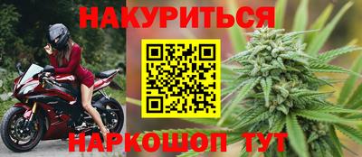 индика Моздок