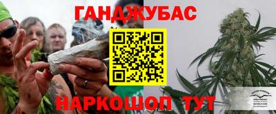 индика Моздок