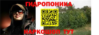 индика Наро-Фоминск