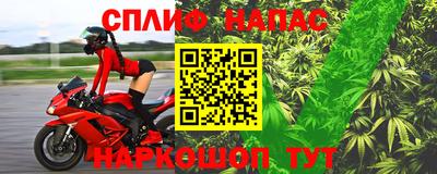 индика Моздок